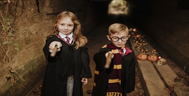 Ȱ���̹���